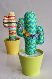 Cactus de Tela