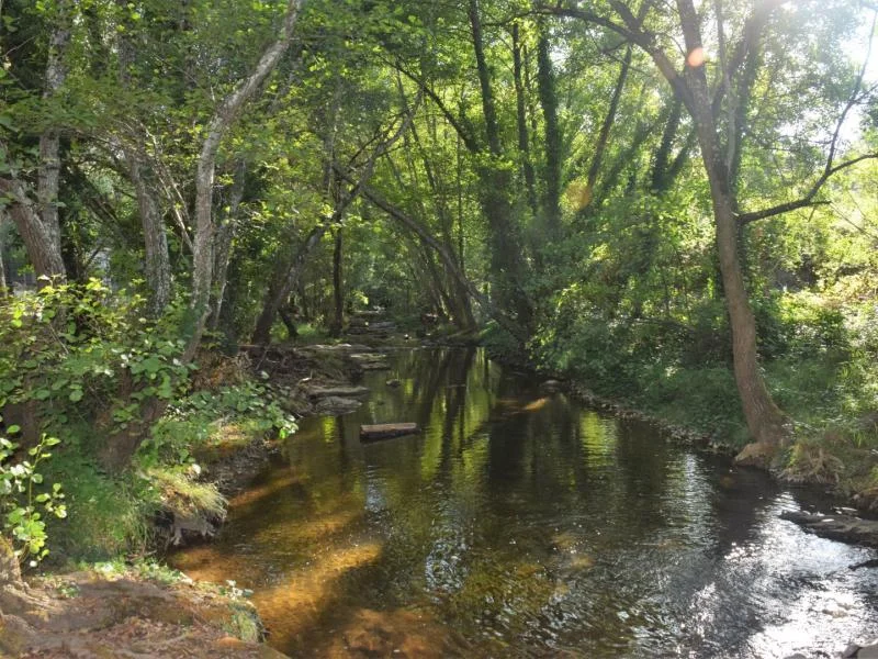 El Área Recreativa Isla Margarita es un espacio ideal para hacer actividades en la naturaleza en Sevilla